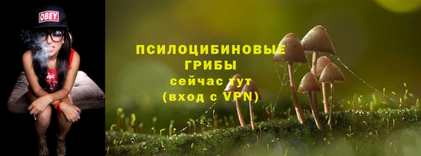 мяу мяу мука Белокуриха