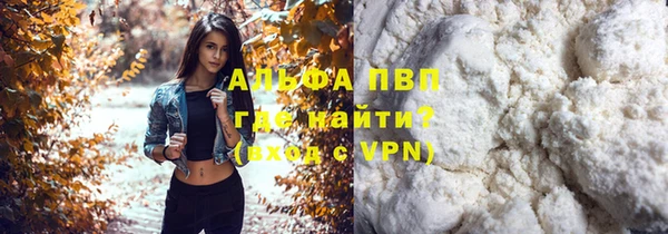 мяу мяу мука Белокуриха